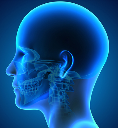 Head & Neck Oncology