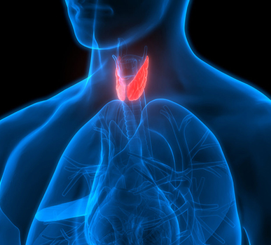 Thyroid Cancer